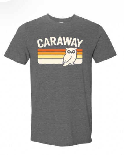 Caraway Owls - Colored Stripes Gray Shirt Adult